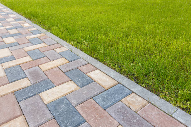 Best Driveway paver repairs and maintenance in Williston, FL